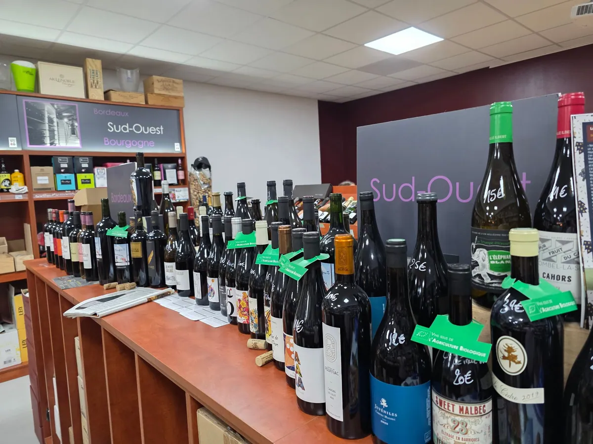 Sélection de vins de Bordeaux, Sud-Ouest et Bourgogne en boutique